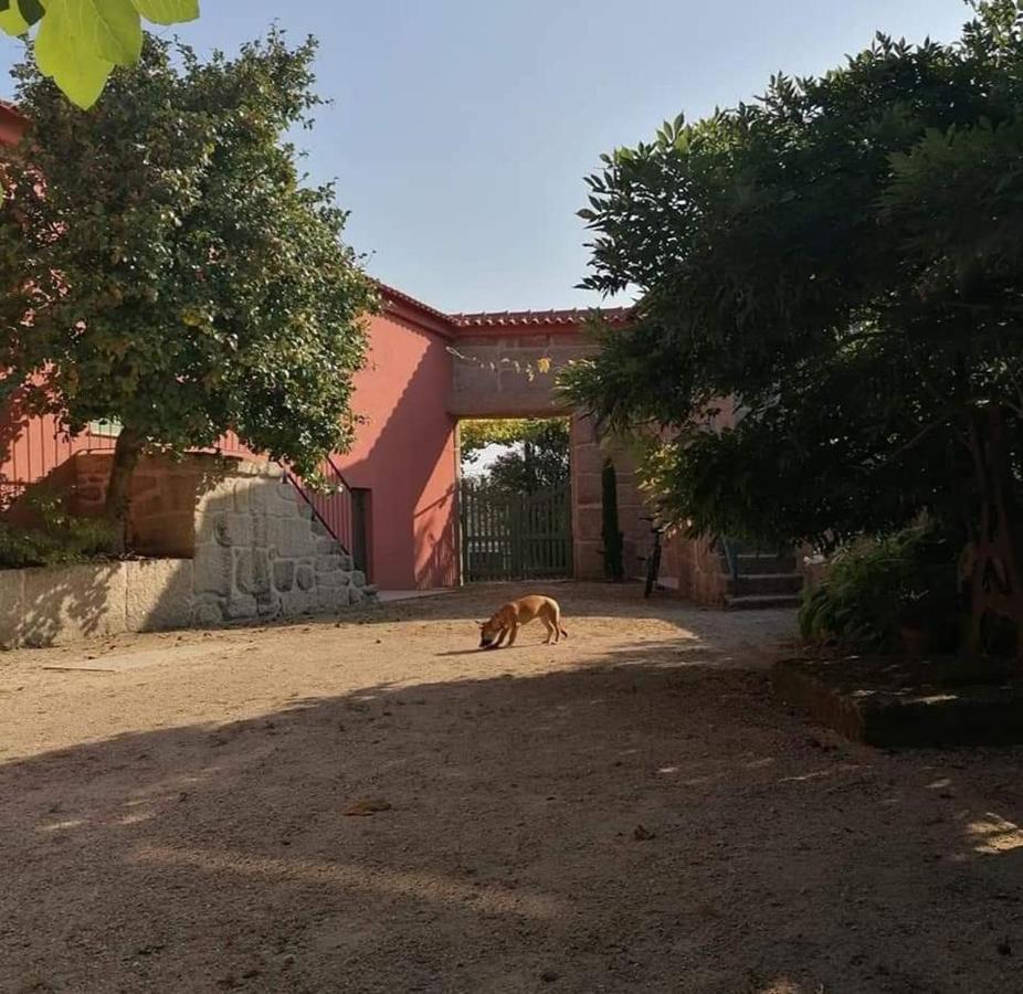 فيلا Quinta Do Santinho أمارانتي المظهر الخارجي الصورة