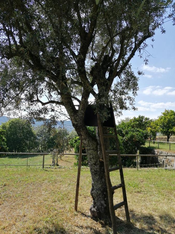 فيلا Quinta Do Santinho أمارانتي المظهر الخارجي الصورة