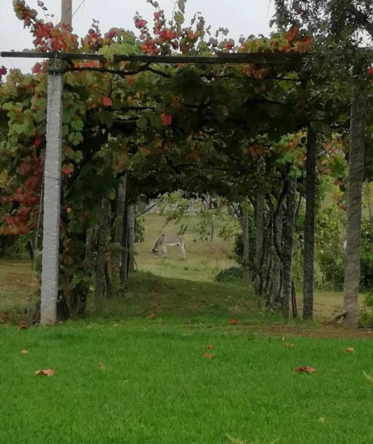 فيلا Quinta Do Santinho أمارانتي المظهر الخارجي الصورة